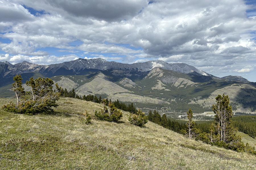 I have lots of great memories of roaming this area!