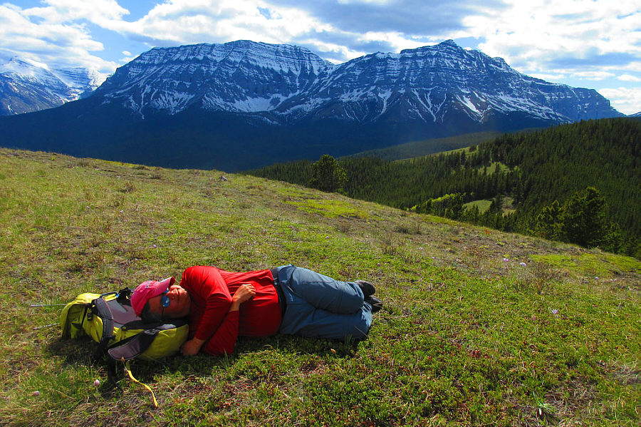 It felt wonderful to lie here in the warm sun with no annoying bugs!