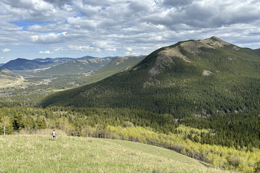 Can you spot the beaver ponds?
