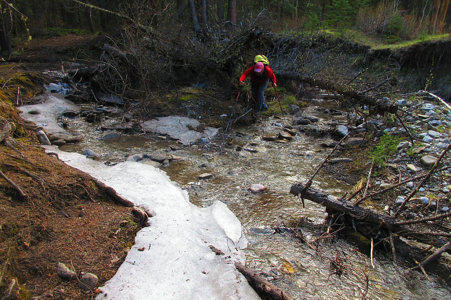 Amazing that there is still lingering ice here!
