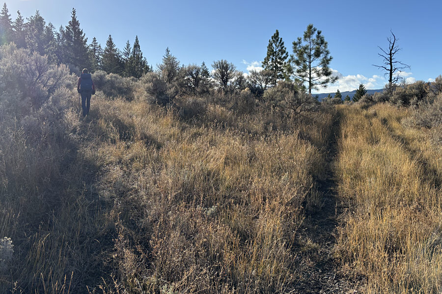 And I, I took the one less traveled by...