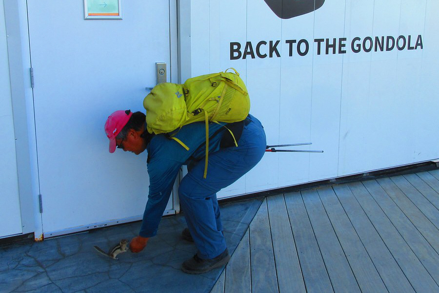 Definitely well-fed by tourists!