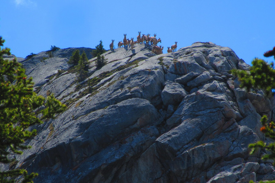 I think they notice us coming!