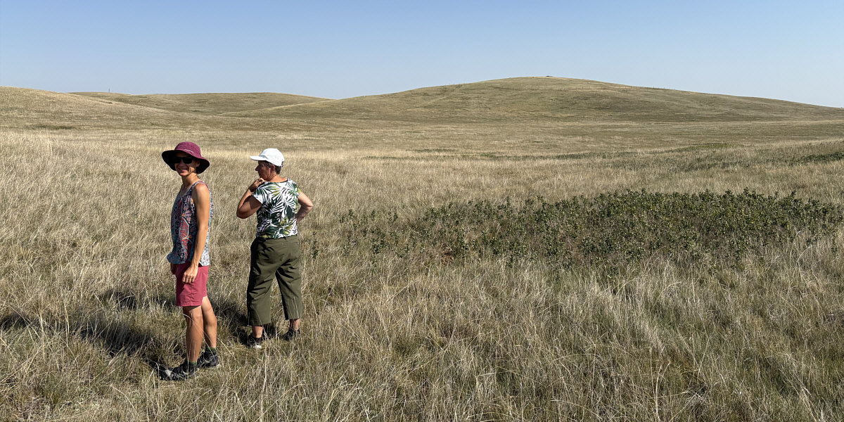 Not quite Mount Everest, but it's definitely a hill!