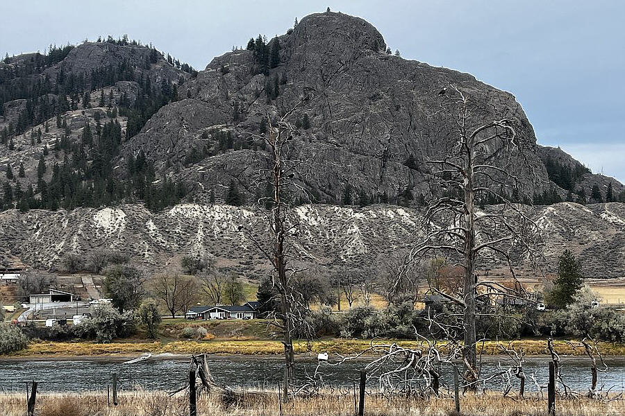 Tough to see against that rocky backdrop!