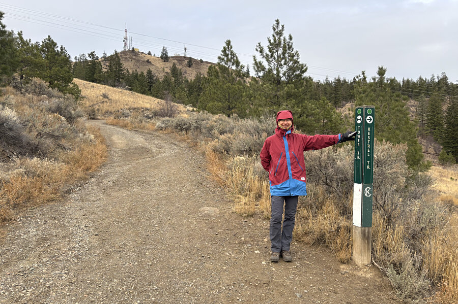 Apparently more popular with dog walkers than mountain bikers!