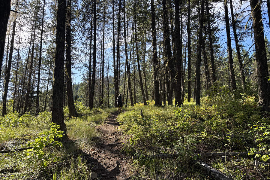 Ideal for mountain biking or skiing!