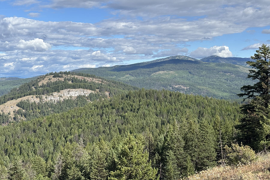 We were there only 82 days ago.