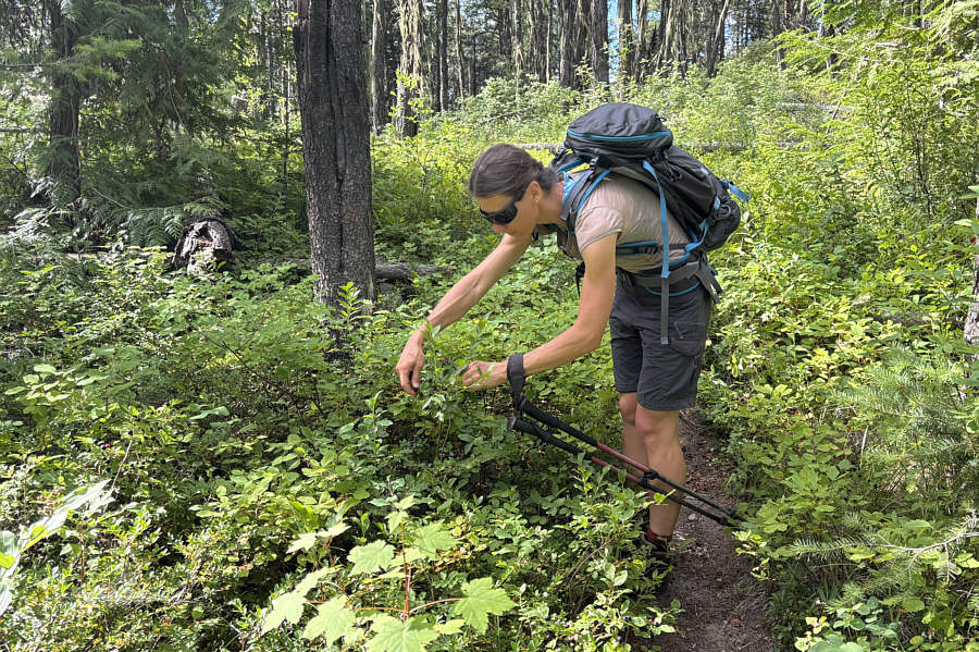 We could be here all day...