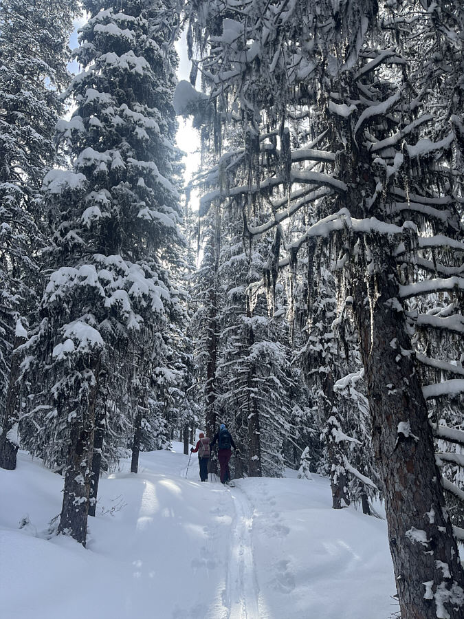 It's crazy how sticky the snow would get in only a few hours...