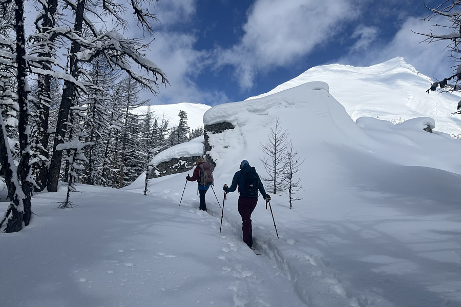 No need to explore the rocks today!