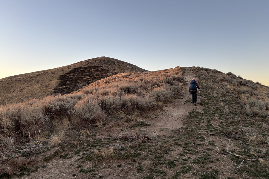 Best to tag this extra peak earlier rather than later!