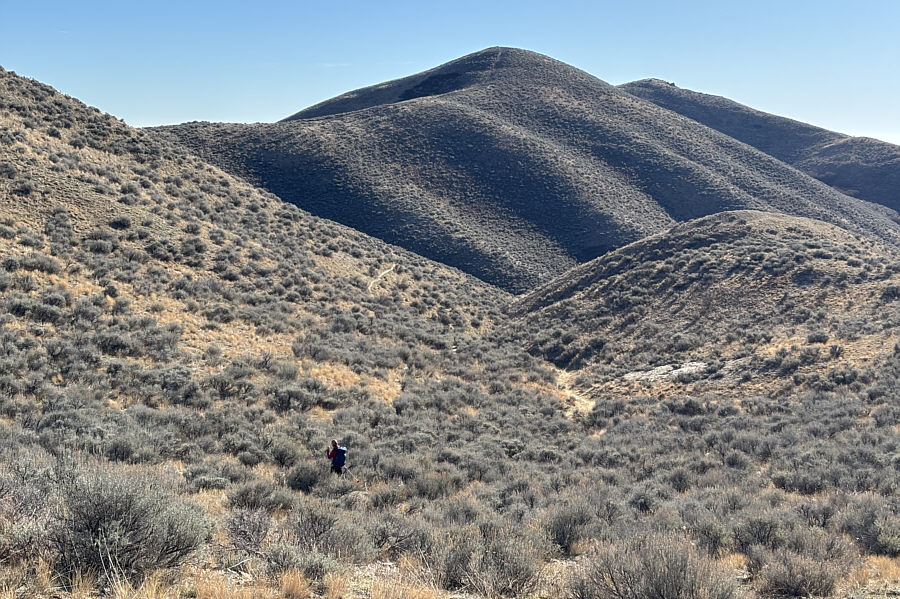 An encouraging sight, indeed!