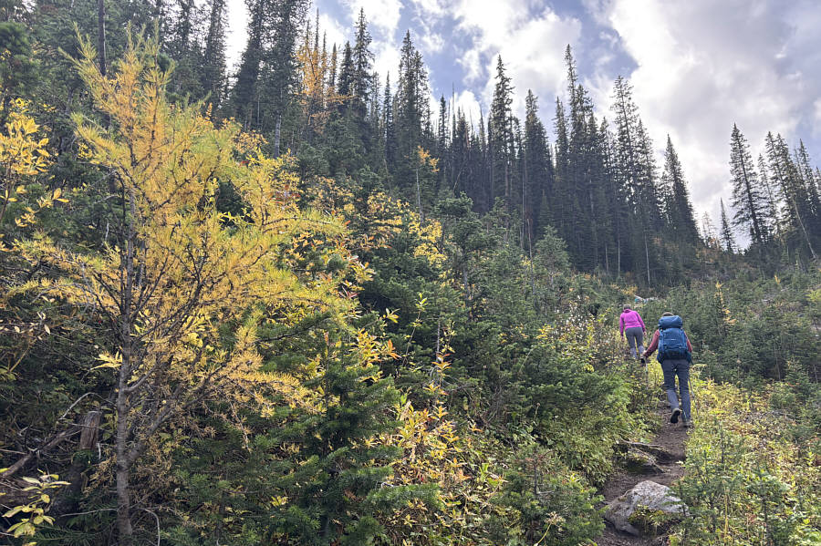 Always a happy sight!