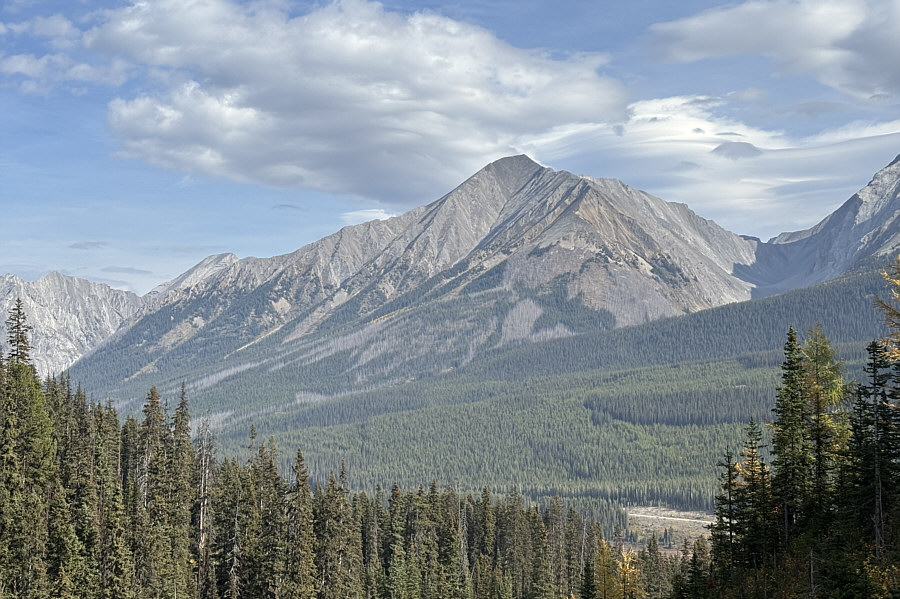 Totally forgot about the bet I made with Linda Breton on our way down that mountain!