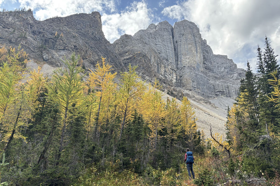 Don't need to climb a ridge or mountain for stunning views!