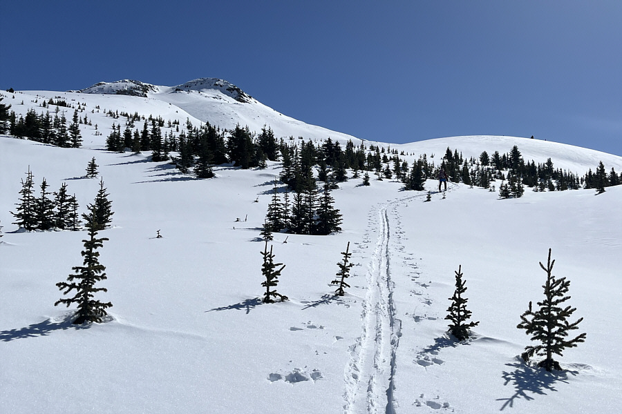 These lightly-treed slopes would've been perfect for yo-yoing on this day!