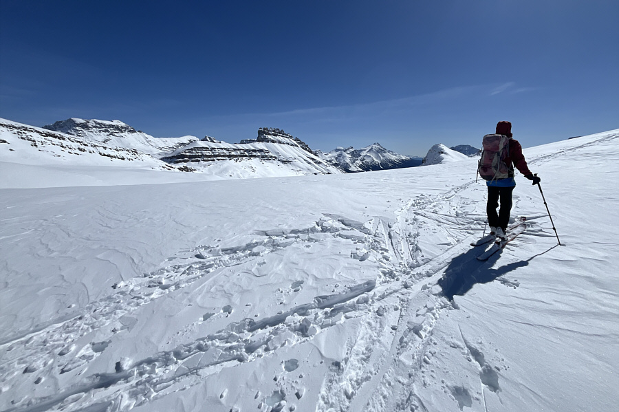 And you can see Crystal Ridge just to the immediate left of Zosia.
