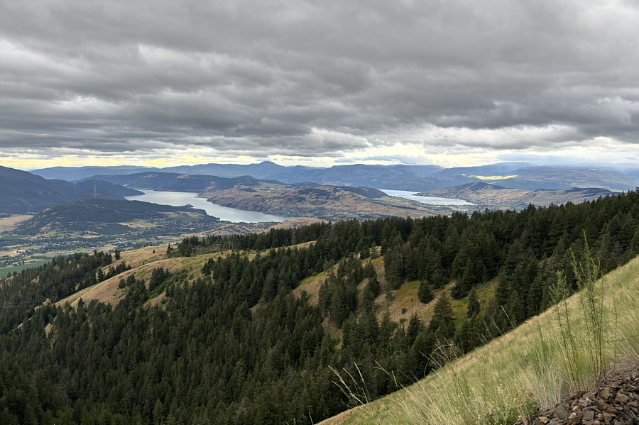 Sadly, this is probably the best view that Vernon Hill has to offer!