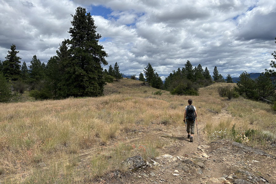 Doesn't look like a lot of people bother to go off-trail here and tag the high point.