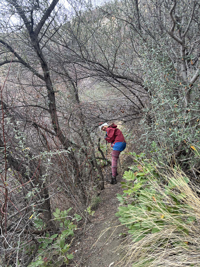 Don't wear a down jacket here!