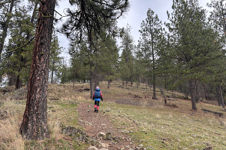 With a few minor zigzags lower down!