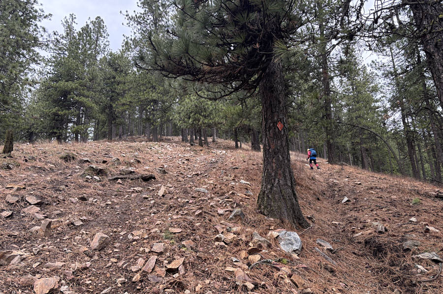 No more switchbacks!