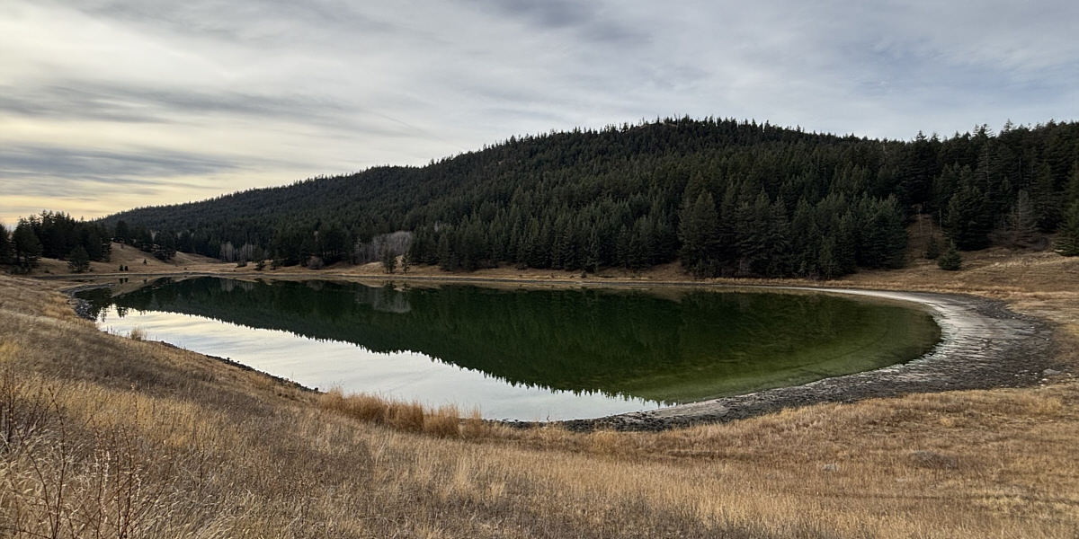 Naturally poopy as well from all the cattle in the area!