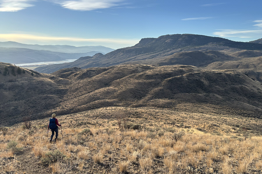 We just missed a deer out of the frame to the right!