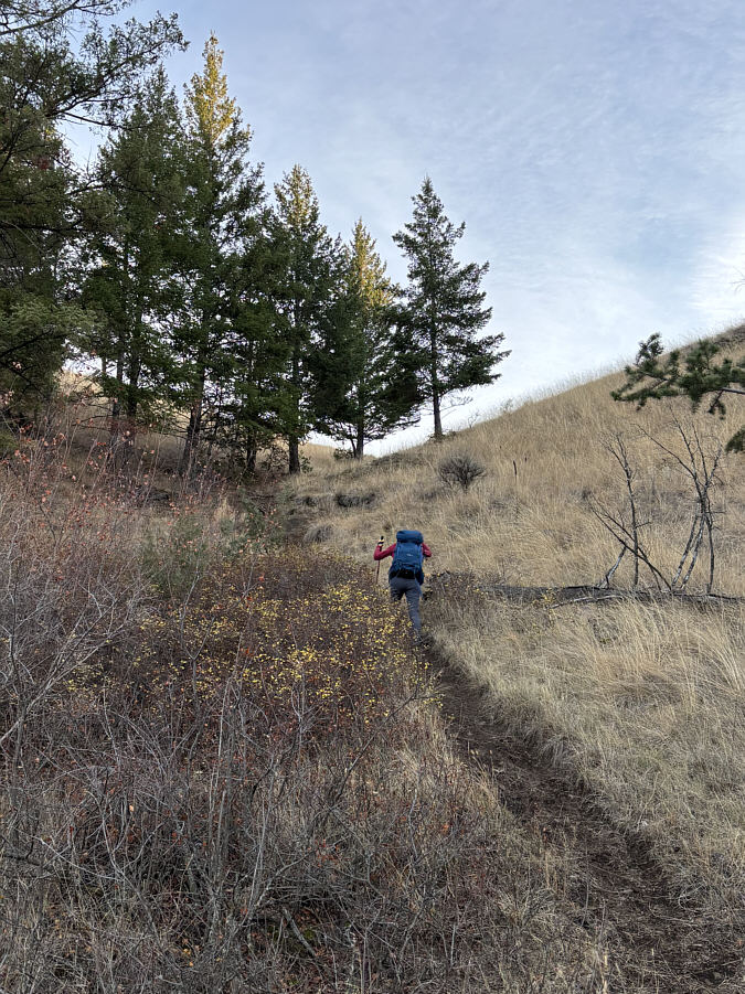 Imagine bombing down this on a mountain bike...yikes!