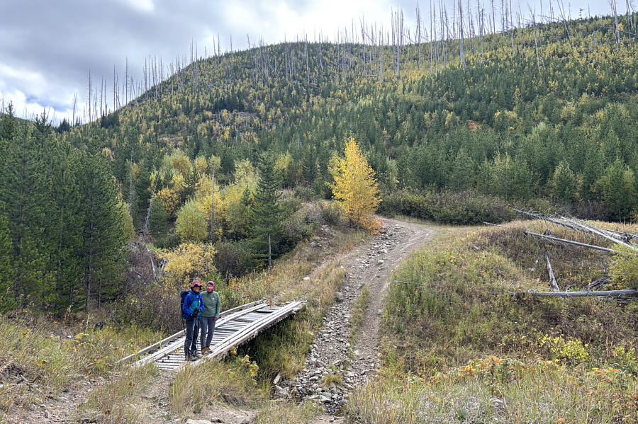 I wouldn't trust some of the planks on this bridge!