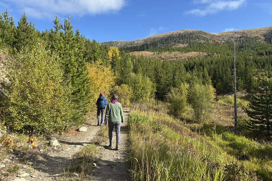Short cutting straight up the ridge from here is probably a bad idea...