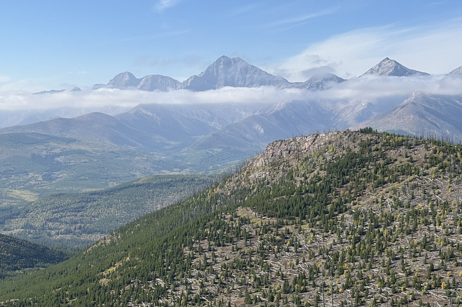 The ridge in the foreground looks intriguing except for all the toothpick deadfall!
