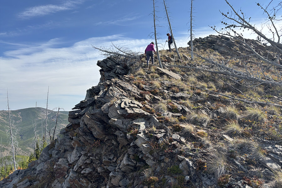 Nothing a chain saw couldn't fix!