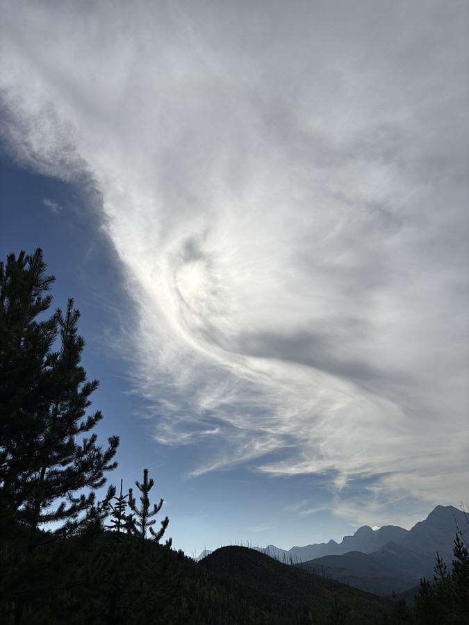 I can read your mind...looking at you...