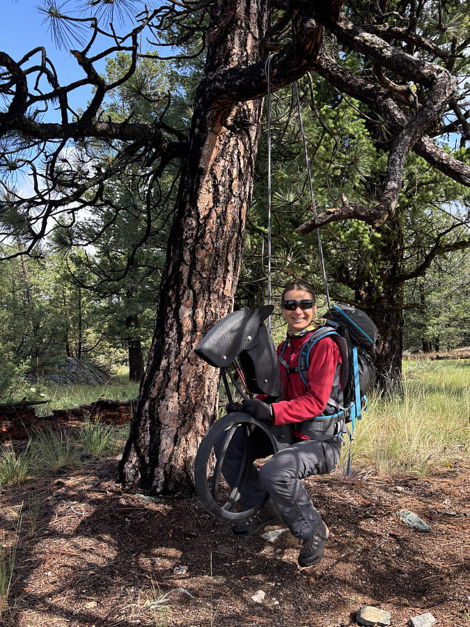 Hi-Yo, Silver! Away!