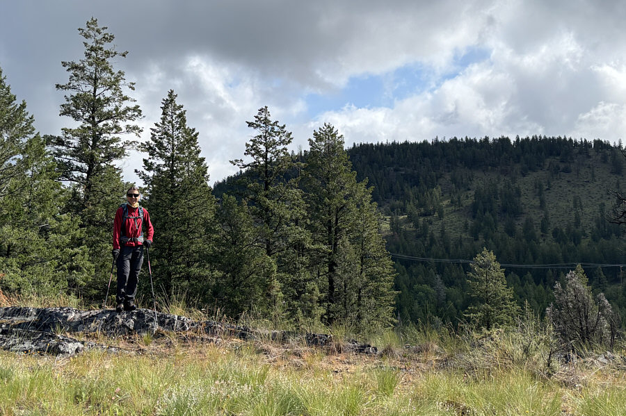 Yay, another forested hump to hike up!