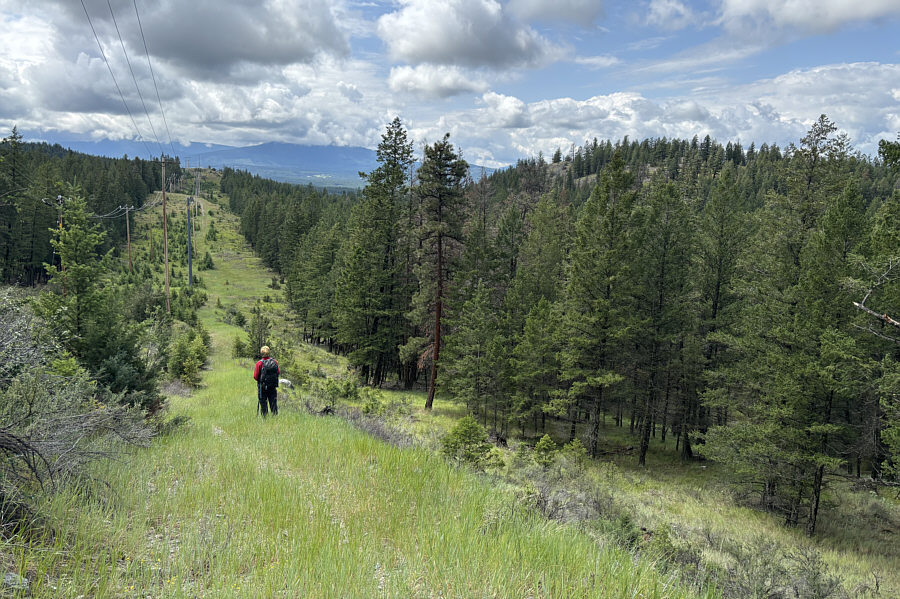 Possible winter ski tour here?