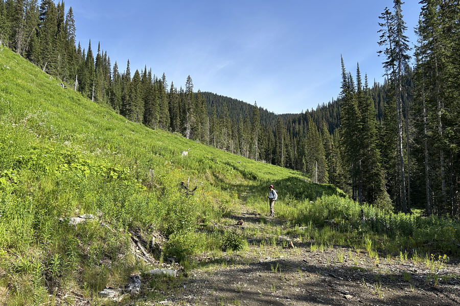 We would've been better off just climbing straight up the hillside at left here!