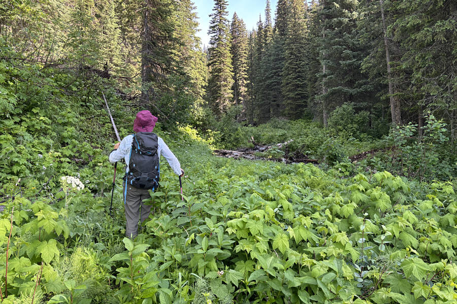 We got hosed by AllTrails this time...DOH!