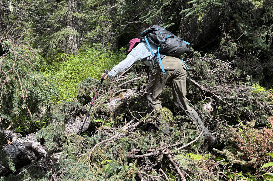 Ugh...why do we do this to ourselves?