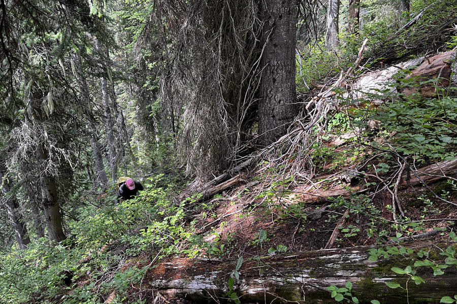 Kill me...kill me now...