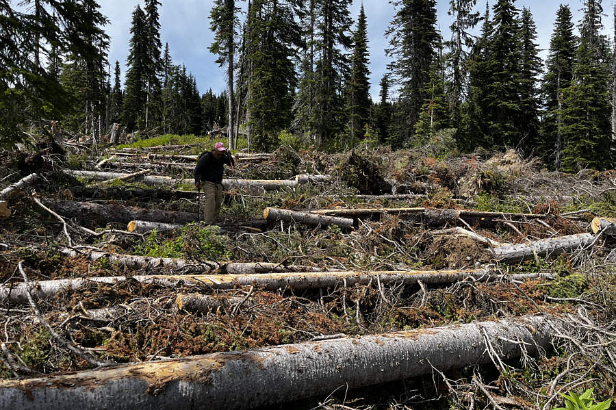 Sigh...will this nightmarish hike ever end?