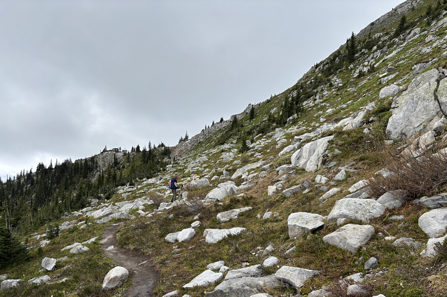 A very pleasant climb!