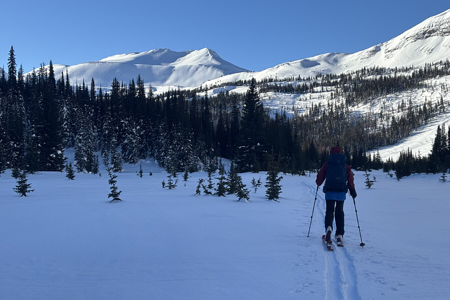 Looks far away still...