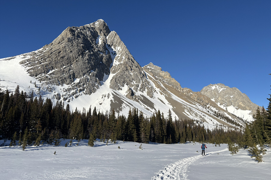 This flat section was a real chore to ski across!