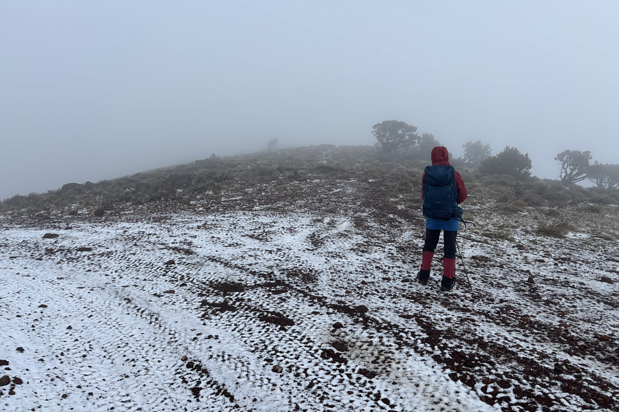 Still some climbing left through the fog!