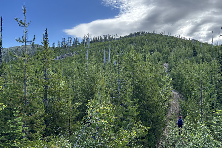 Still a lot of elevation gain ahead of us though!
