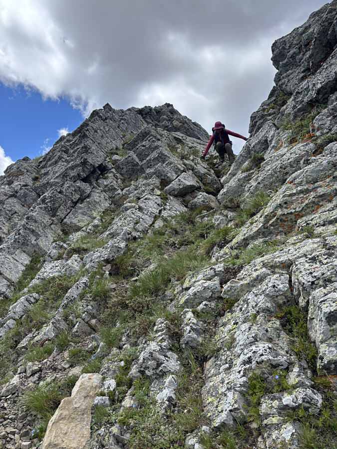 Scrambling!