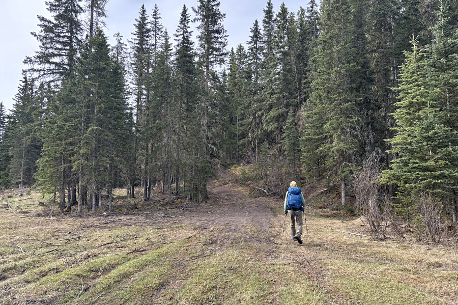 No bushwhacking is a good start!